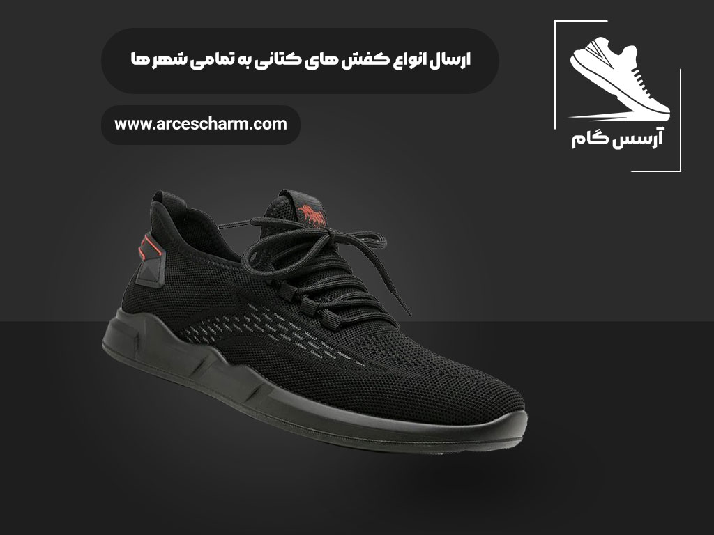 چرم آزسس بزرگترین مرکز فروش عمده کفش اسپرت در ایران است.